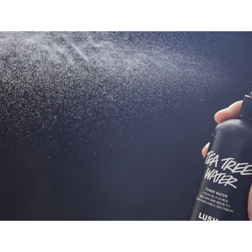 Lush Skincare Mask of Magnaminty Face & Body Mask 125g + Tea Tree Water Toner 100g Set - Image 2