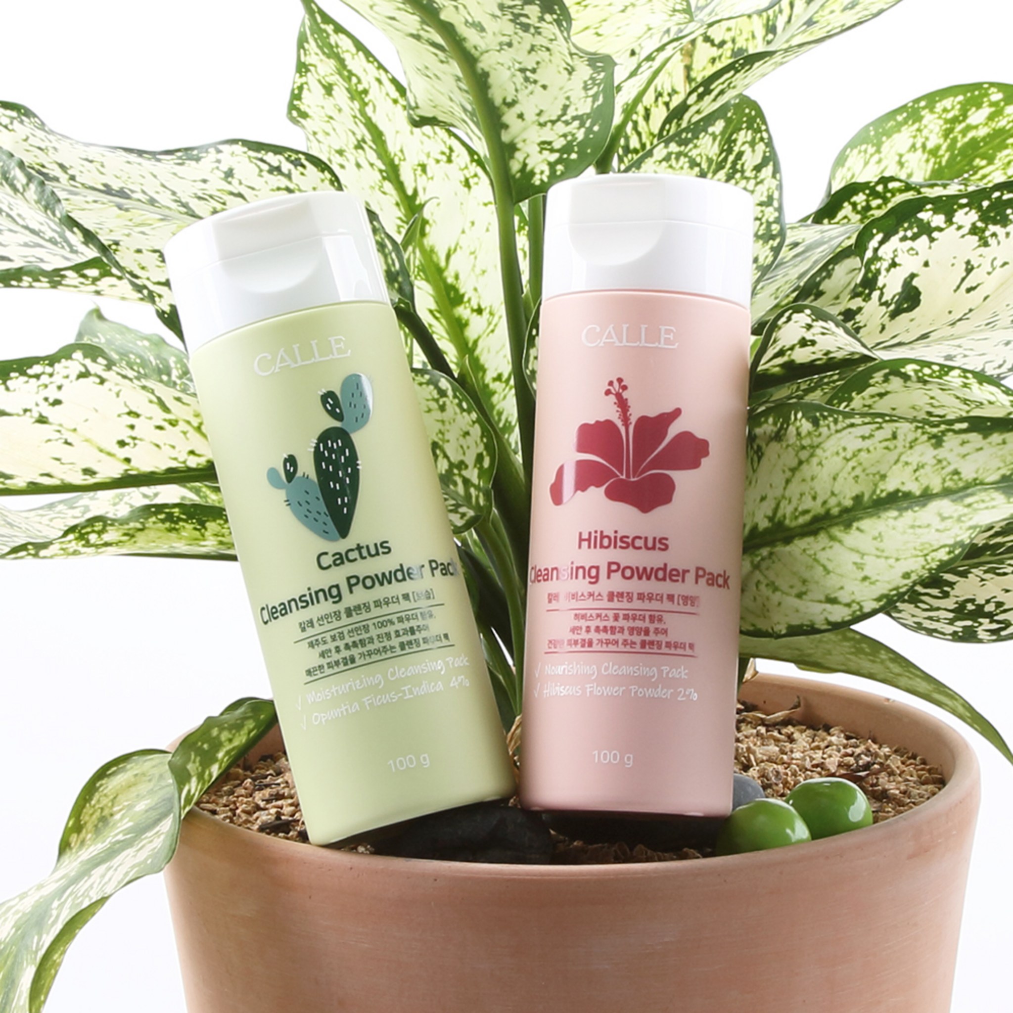 Icale Cactus Cleansing Powder Pack Moisturizing 100g + Hibiscus Cleansing Powder Pack Nutrition 100g - Image 2