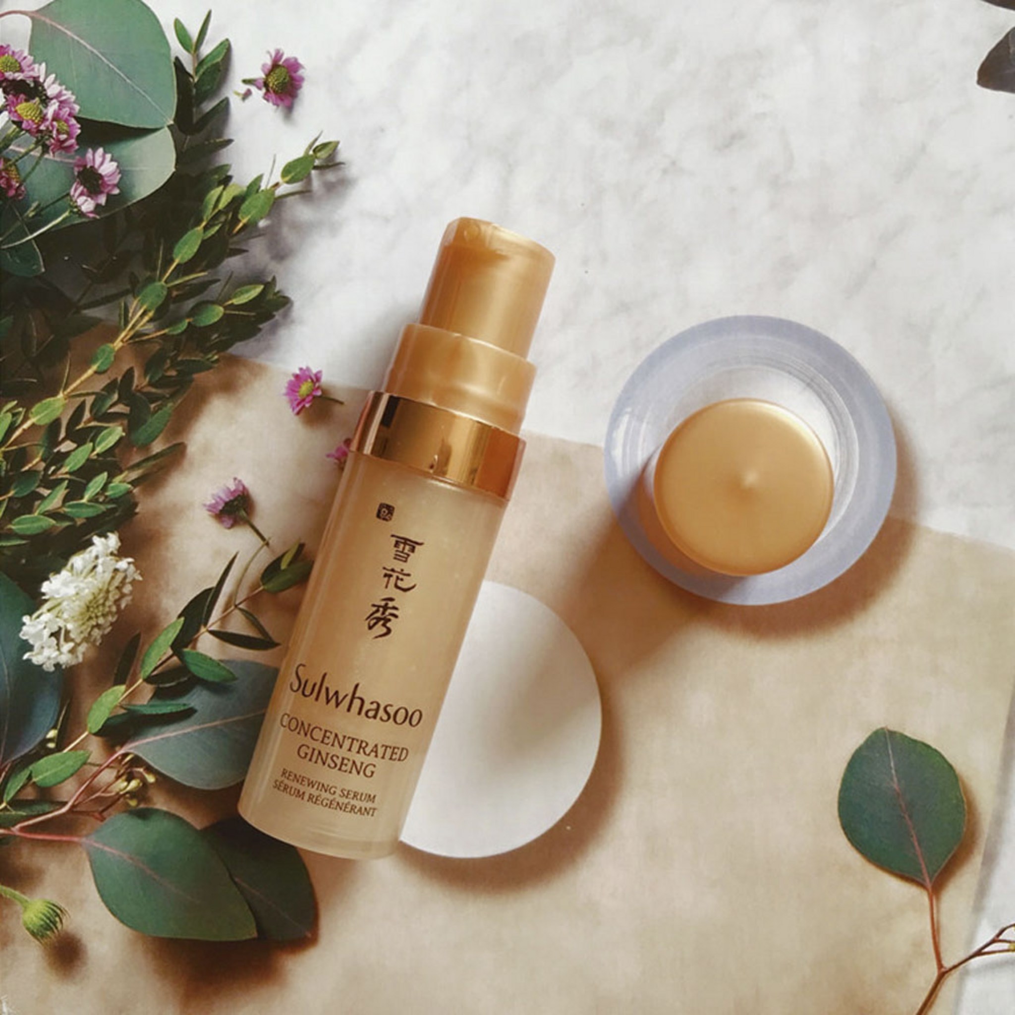 Sulwhasoo Nourishing Ginseng 5 Types Sample Set - Image 5
