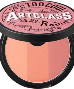 Too Cool For School Art Class By Rodin Blusher 9g