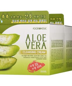 Food A Holic Power Perfect Aloe Vera Cleansing Cream